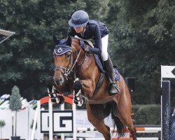 jumper Lillet Wildberry 2 (Holsteiner, 2018, from Clarimo Ask)