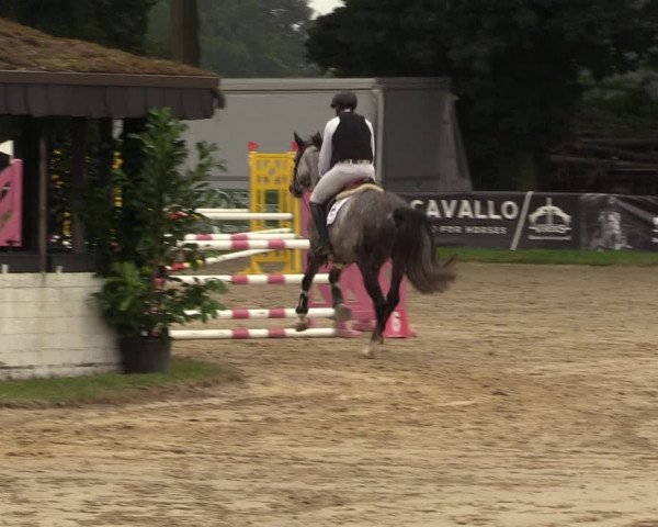 Reitturnier Datteln 2022