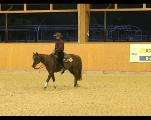 Pferd Mizzen Spook (Quarter Horse, 2007, von Smart Spook)