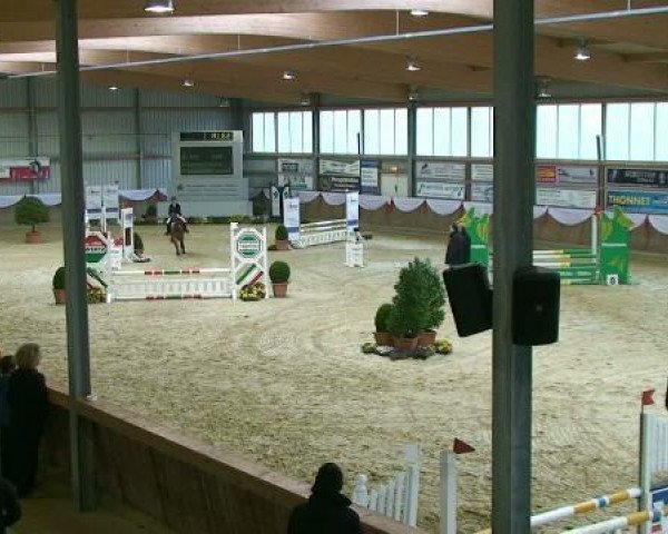 jumper Hötzenhof Camelot (New Forest Pony, 2002, from Kantje's Carlando)