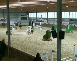 jumper Hötzenhof Camelot (New Forest Pony, 2002, from Kantje's Carlando)