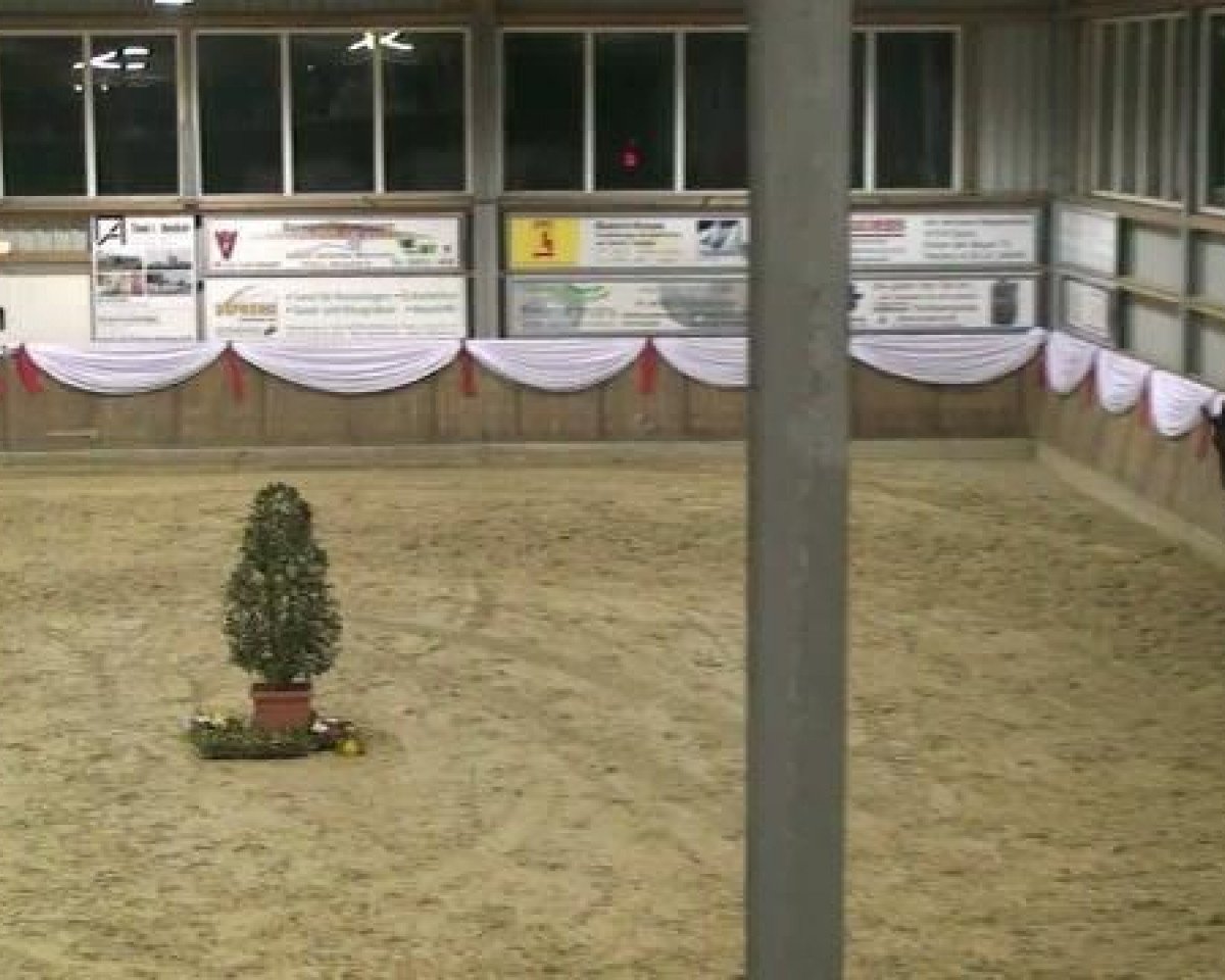 Jumper Wallie B (KWPN (Dutch Warmblood), 2003, from Rash R) - Hallenturnier Goch 2012
Samstag, den 24.03.2012
16 Springprfg.Kl.S m.St.*