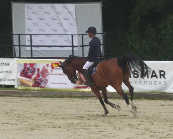 Reitturnier Bergisch Gladbach SPR 2022
