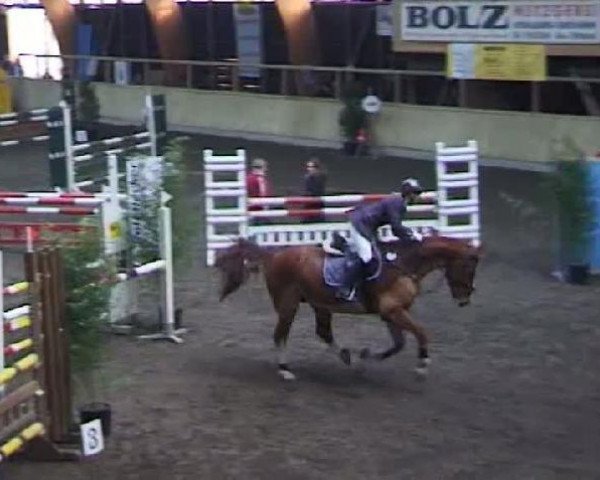 jumper Charming Medoc (Oldenburg, 2000, from Cordial Medoc)