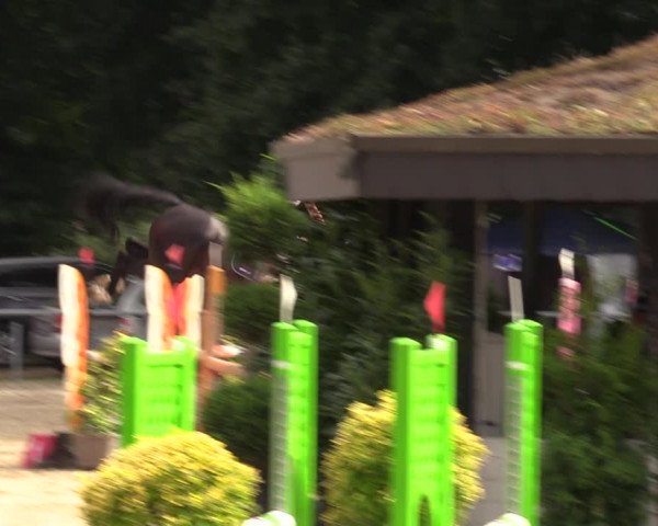 Reitturnier Datteln 2022