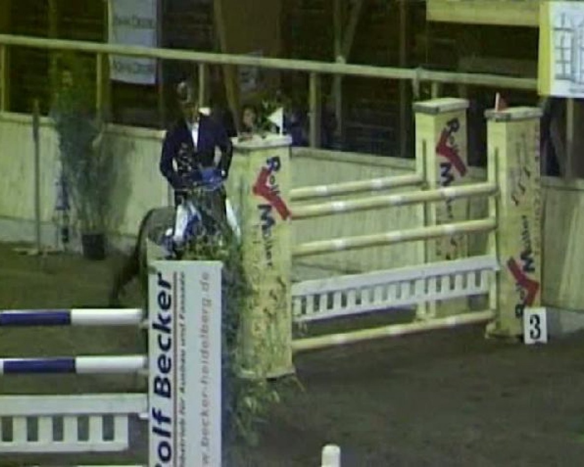 Broodmare Scaramanga 4 (KWPN (Dutch Warmblood), 1999, from Flemmingh) - Heidelberg 2011
Samstag, den 05.03.2011
05 Springprüfung Kl.M**