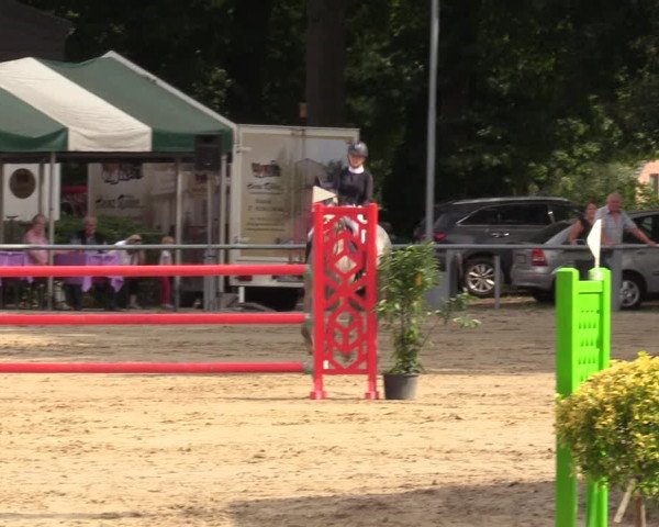 Reitturnier Datteln 2022