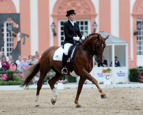 dressage horse Good Morning M (Rhinelander, 2002, from Goethe)