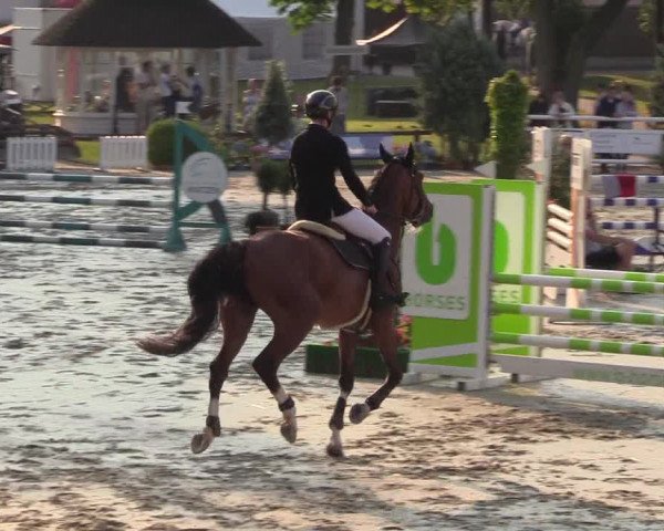 Reitturnier Schnarup-Thumby 2022
