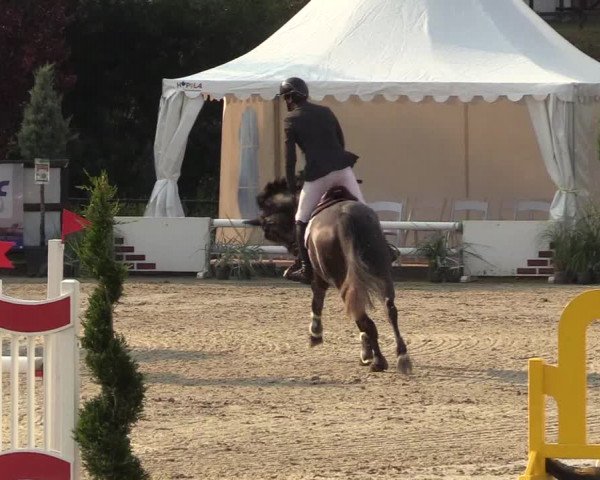 Reitturnier Schnarup-Thumby 2022