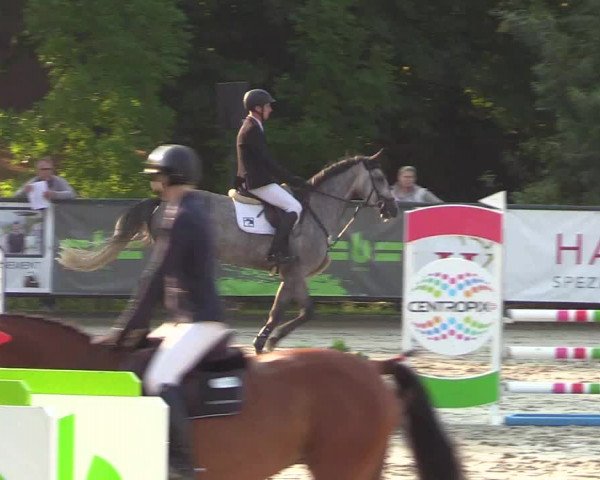 Reitturnier Schnarup-Thumby 2022
