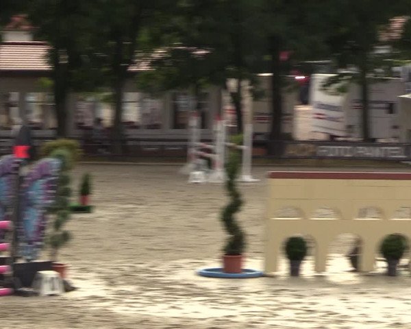 Reitturnier Schnarup-Thumby 2022