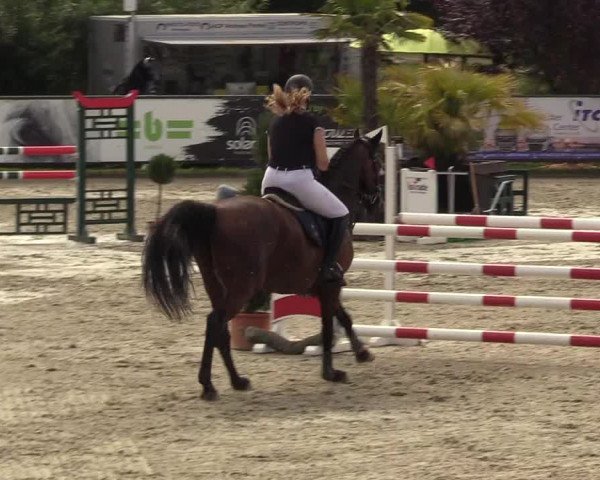 Reitturnier Schnarup-Thumby 2022