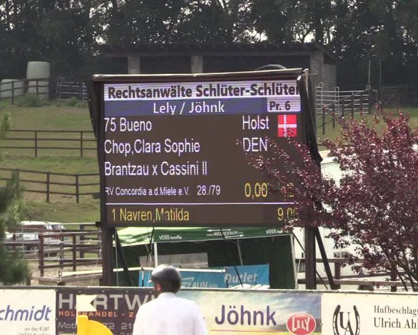 Reitturnier Schnarup-Thumby 2022