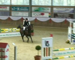 dressage horse Conny 332 (Rhinelander, 2004, from Con Capitol)