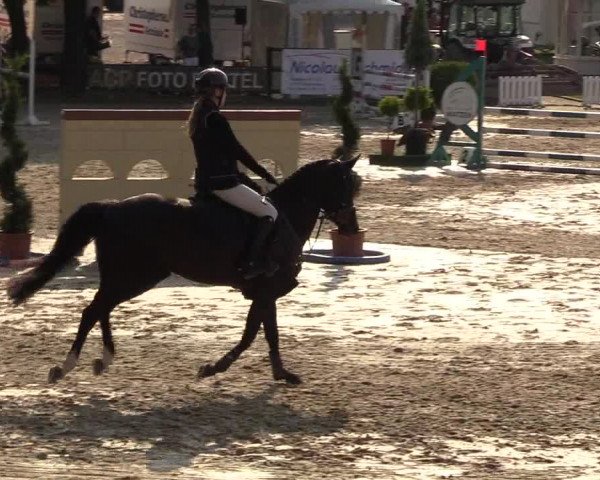 Reitturnier Schnarup-Thumby 2022
