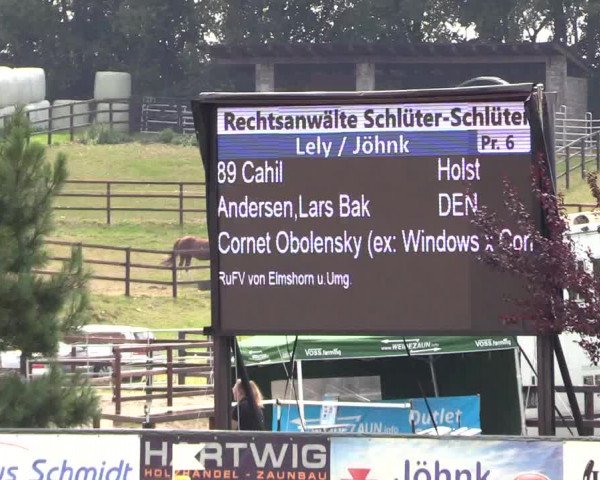 Reitturnier Schnarup-Thumby 2022