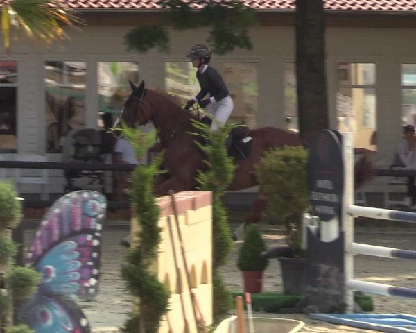 Reitturnier Schnarup-Thumby 2022
