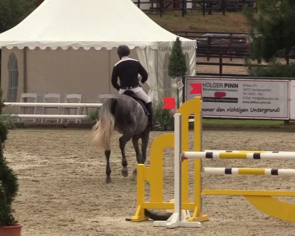 Reitturnier Schnarup-Thumby 2022