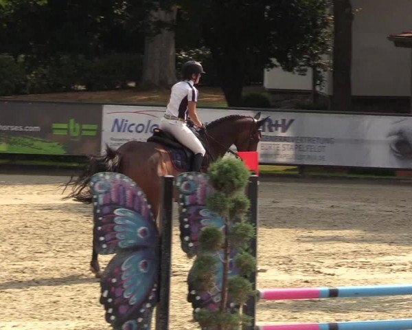 Reitturnier Schnarup-Thumby 2022