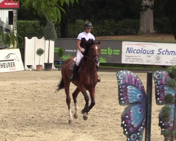 Reitturnier Schnarup-Thumby 2022