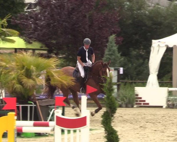 Reitturnier Schnarup-Thumby 2022