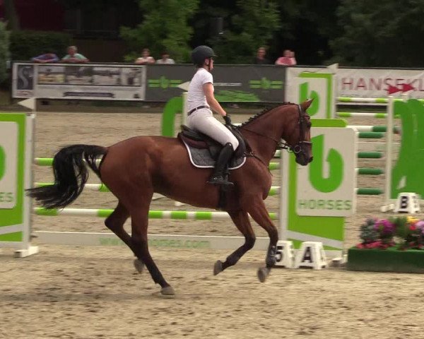 Reitturnier Schnarup-Thumby 2022