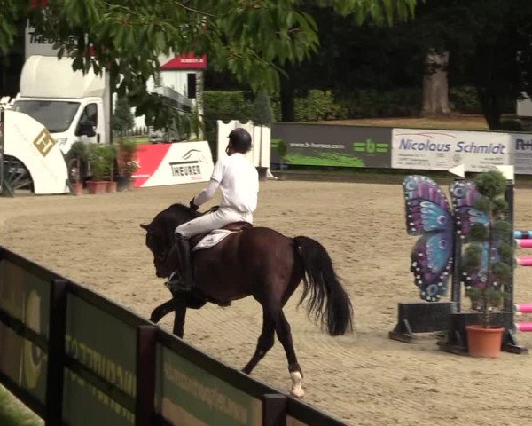 Reitturnier Schnarup-Thumby 2022