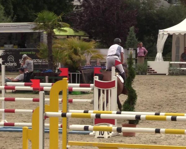 Reitturnier Schnarup-Thumby 2022