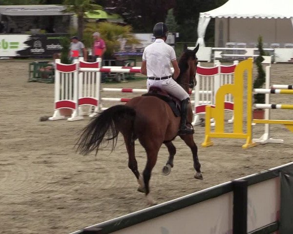 Reitturnier Schnarup-Thumby 2022