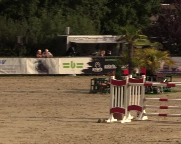 Reitturnier Schnarup-Thumby 2022