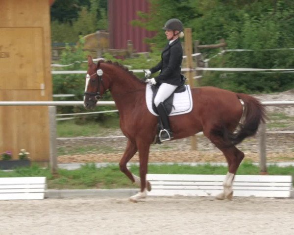 Reitturnier Köngen 2022
