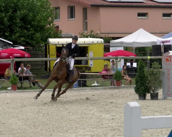 Reitturnier Dompierre 2022