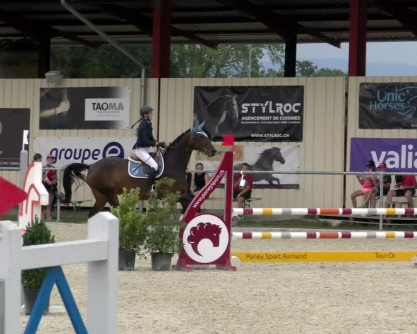 Reitturnier Dompierre 2022