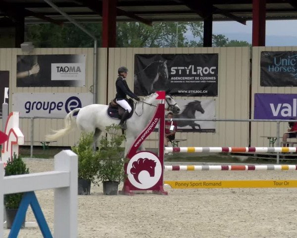 Reitturnier Dompierre 2022