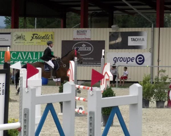 Reitturnier Dompierre 2022