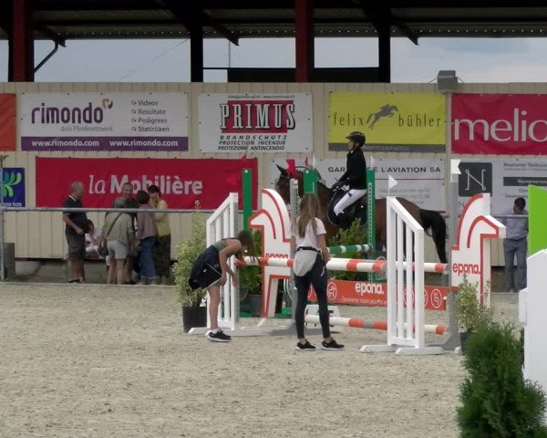Reitturnier Dompierre 2022