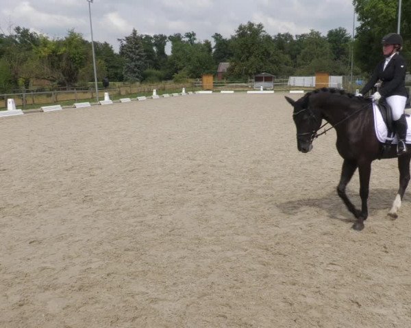 Reitturnier Köngen 2022