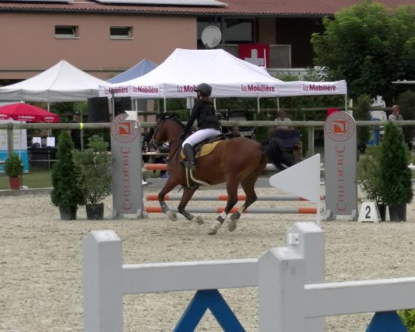 Reitturnier Dompierre 2022