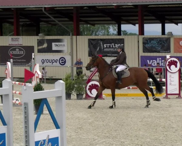 Reitturnier Dompierre 2022