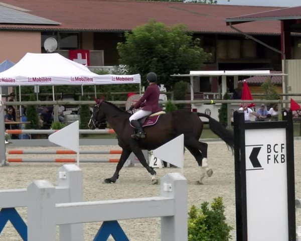 Reitturnier Dompierre 2022