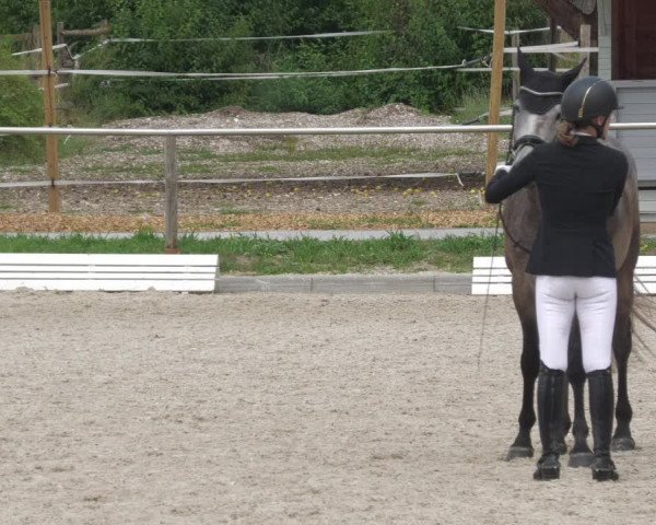 Reitturnier Köngen 2022