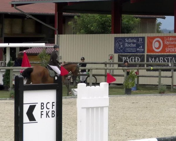 Reitturnier Dompierre 2022