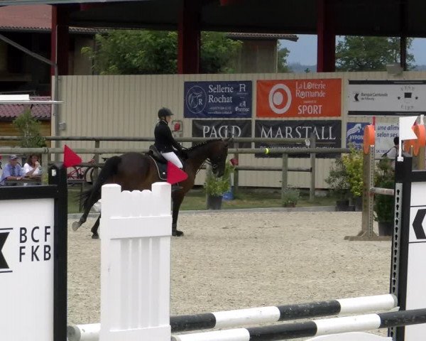 Reitturnier Dompierre 2022
