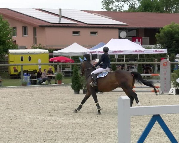 Reitturnier Dompierre 2022