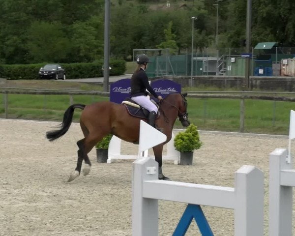 Reitturnier Dompierre 2022