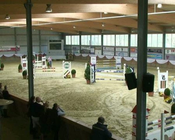 jumper Caruso 462 (Westphalian, 2005, from Candillo Z)