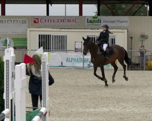 Reitturnier Dompierre 2022