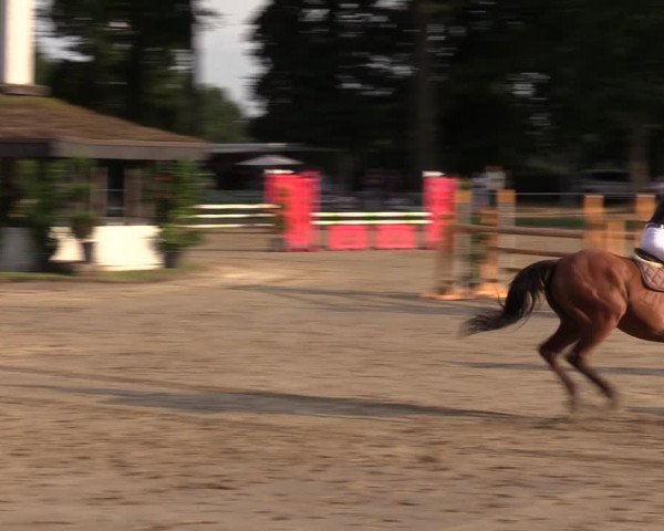 Reitturnier Datteln 2022
