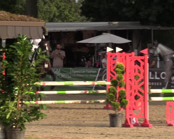 Reitturnier Datteln 2022